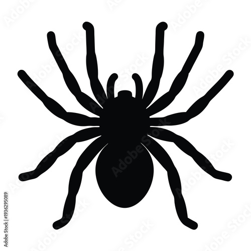 Silhouette of a spider with long legs on a white background