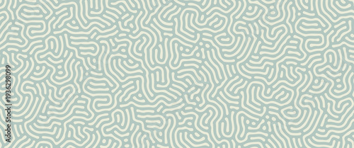 Modern Sage Green Organic Turing Pattern Background. A sophisticated vector illustration featuring a seamless-style maze of fluid, hand-drawn lines in soft muted green.