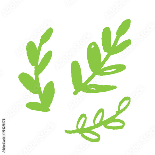 手描きグリーン植物の葉と枝のボタニカルイラスト ナチュラル自然デザイン素材