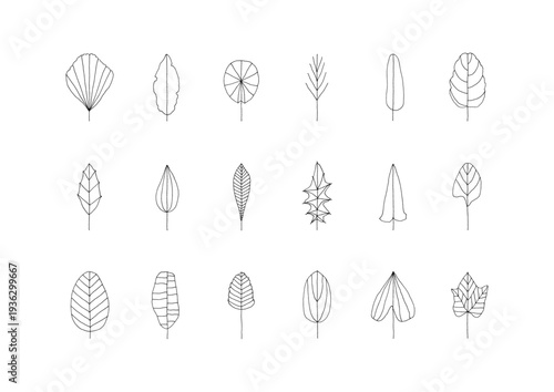 色々な形をした葉っぱの線画手描きイラストセット2