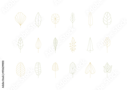 黄色と緑の色々な形をした葉っぱの線画手描きイラストセット2