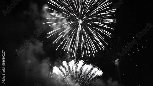Bright fireworks explode against the dark night sky, creating a dazzling