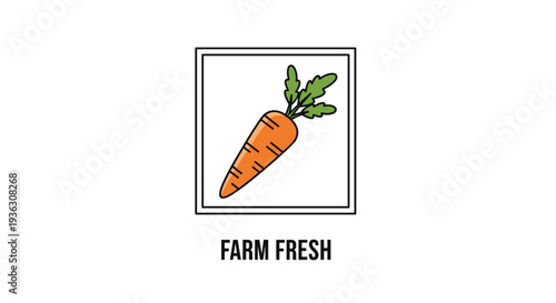 Farm fresh carrot illustration is enclosed in a square frame and features the orange root vegetable with vibrant green leafy tops on white.