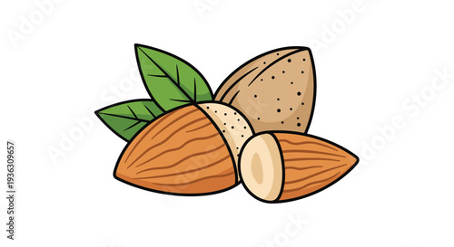 Group of almonds with one in the shell and others shelled accompanied by green leaves to represent healthy organic snacks and natural food.