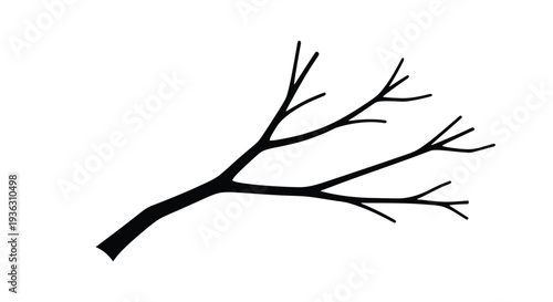Simple black illustration of a bare tree branch against a white background