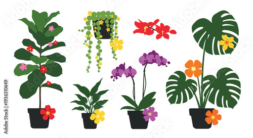 A collection of colorful tropical houseplants in black pots