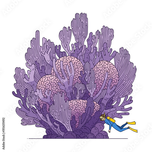 Scuba diver exploring giant coral reef shaped like human brains underwater