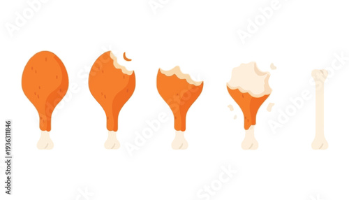 Chicken leg vector illustration showing stages of being eaten