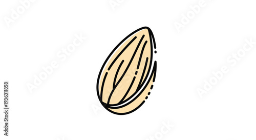 Single detailed illustration of a whole almond kernel with brown skin and characteristic texture lines on a white background.