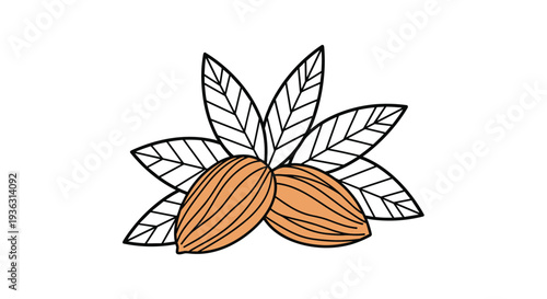 Simple line art illustration of two brown almond nuts resting against a cluster of green leaves on a plain white background for design.