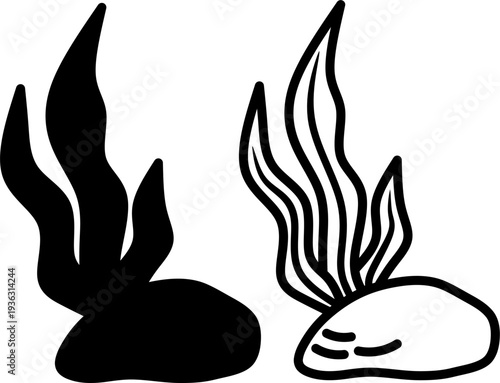 Marine Plant and Stone Illustration