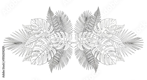 Symmetrical arrangement of tropical palm leaves and monstera leaves.