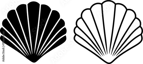Black and White Scallop Shell Illustration