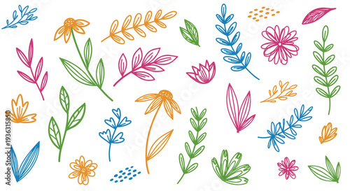 Colorful Hand-Drawn Floral Elements and Leaves Collection.