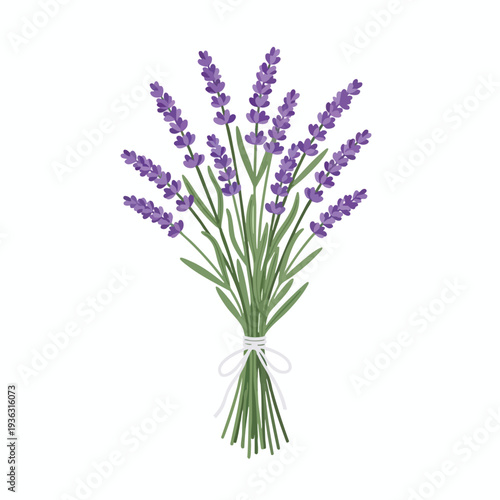 Beautiful Fresh Lavender Bouquet for Aromatherapy and Home Decor