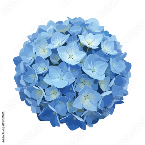 Beautiful Blue Hydrangea Flower Cluster for Garden and Floral Decor