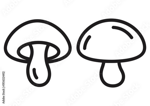 Two distinct mushroom illustrations showcasing different cap shapes and stem structures isolated on white background, Vector, illustration