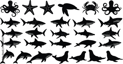Silhouette sea animals including sharks, dolphins, whale, turtle, crab, octopus, starfish, and seals, marine life vector illustration collection for ocean design projects