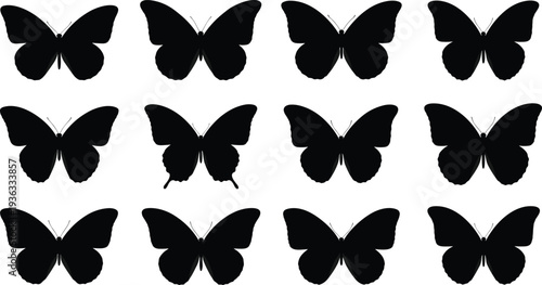 Butterfly silhouette collection, various flying butterfly shapes isolated on white background, nature insect icon set for design vector illustration