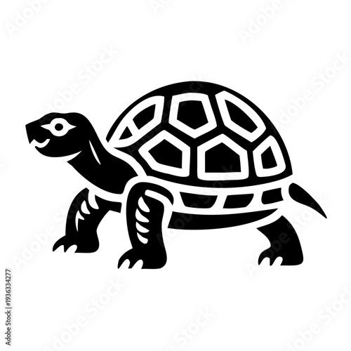tortoise silhouette icon illustration for wildlife reptile land turtle and nature design