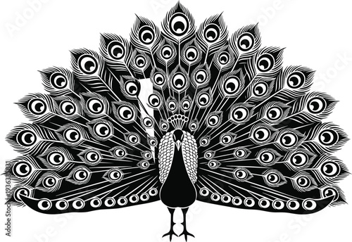 Ornamental peacock illustration, black white design, symmetrical feather artwork, decorative bird motif, elegant vector drawing, cultural artistic pattern, detailed plumage