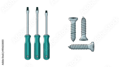 Vector illustration set of common workshop tools, including three flathead screwdrivers and several different types of metal screws.