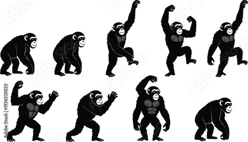 Black Animal Silhouette Vector Set Featuring Chimp Monkey Gorilla Lion Elephant Horse Cow Pig and Small Woodland Creatures for Wildlife Farm and Nature Graphic Design