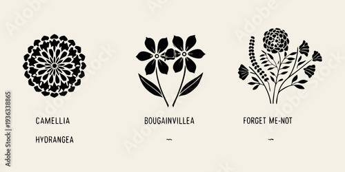 Stylized botanical illustrations of camellia bougainvillea and forget me not flowers