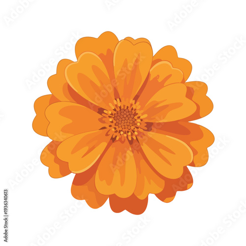 Vivid Orange Flower Blooming in Natural Garden Setting