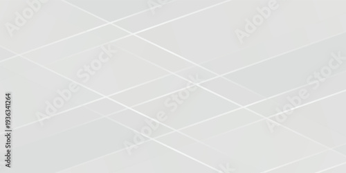 Abstract white grey background.  Light pale geometric pattern. Modern futuristic art. Vector illustration