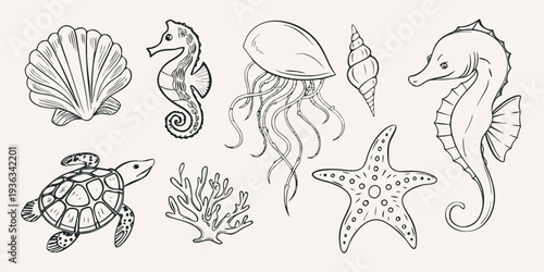 Hand drawn collection of marine life including shells seahorses and jellyfish