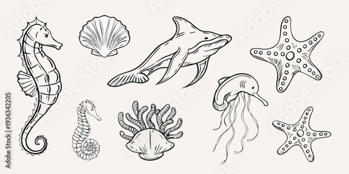 Line art collection of various marine life and sea creatures