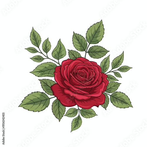 Elegant Red Rose with Green Foliage for Floral and Garden Designs