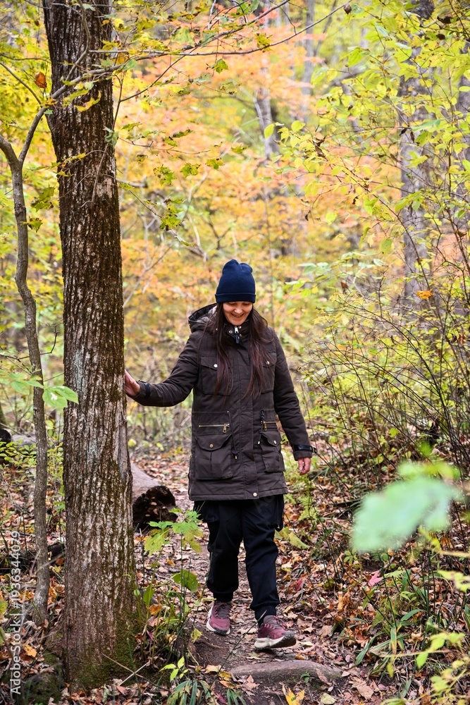 Obraz premium Woman walking along forest trail during autumn solo hike. Calm wellness travel, mindful movement and peaceful rest in nature.