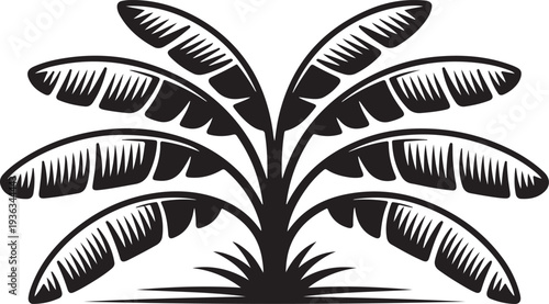 Banana plant large green leaves tropical foliage exotic vegetation jungle growth natural environment