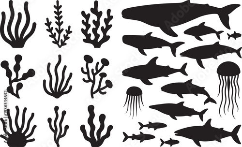 Collection of underwater sea creatures and plants silhouettes on transparent background vector