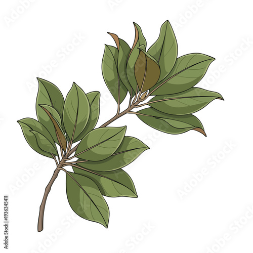Illustration of Fresh Green Leaves on a Branch for Nature and Environment Concepts