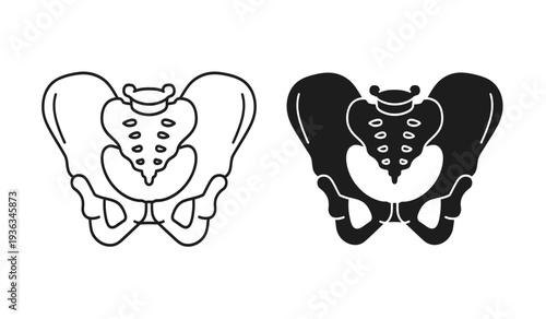 Black and white illustration of a pelvis with sacrum and coccyx in two styles