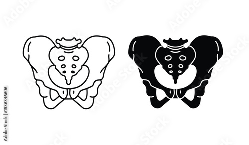 Vector illustration of a pelvis with a bow tie and crown in black and white