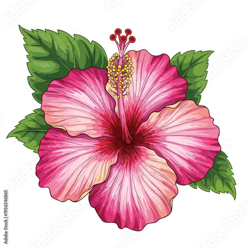 Vibrant Pink Hibiscus Flower with Green Foliage for Exotic Garden and Nature Themes