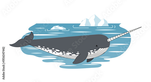 Narwhal Whale with Tusk Swimming in Arctic Ocean Iceberg Water