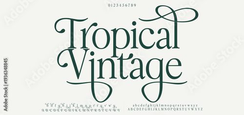 Tropical Vintage Elegant and artistic serif font with flowing curves and timeless charm, ideal for high-end branding