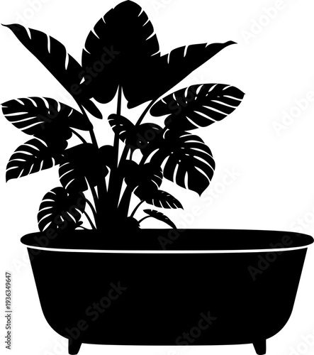 Freestanding bathtub positioned in front of a large tropical houseplant