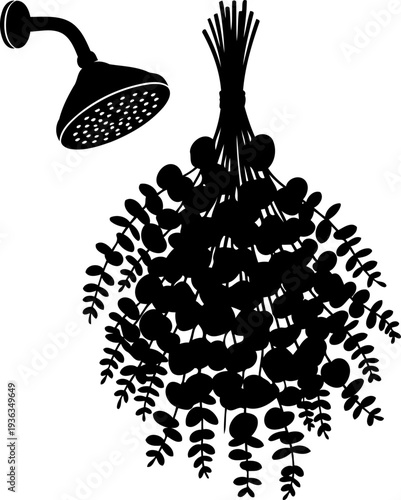 Fresh eucalyptus stems hanging from shower head