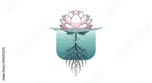 Pink Lotus Flower Blooming Above Water with Visible Roots and Bubbles