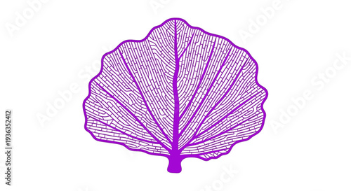 Purple Leaf Skeleton Illustration