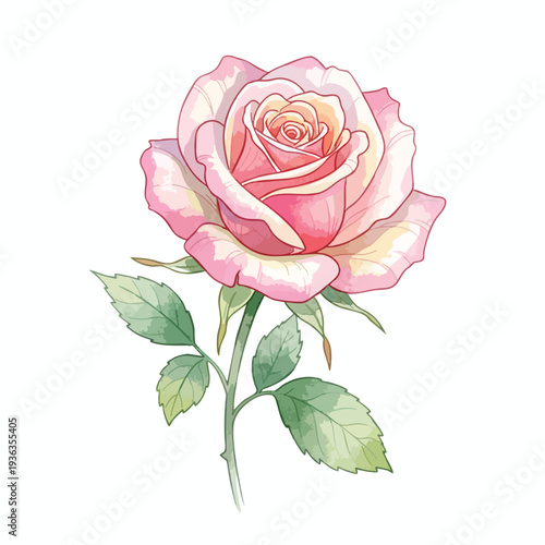 Beautiful Artistic Illustration of a Pink Rose with Green Leaves