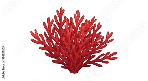 Vibrant Red Coral Branch Isolated on White Background