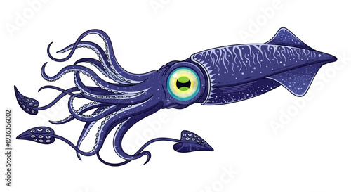 Vibrant Squid Illustration with Detailed Tentacles and Large Eye