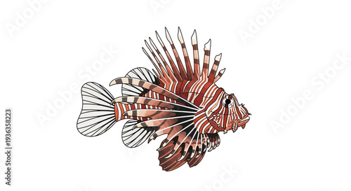 Watercolor Lionfish Illustration - Exotic Marine Life